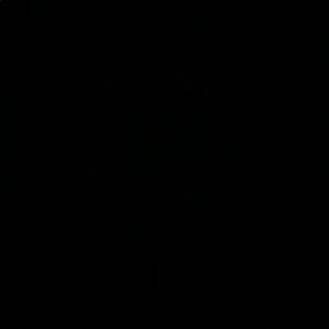 Meet your Posher, Joy